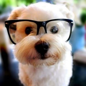 Meet your Posher, Bersi